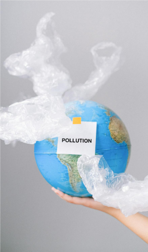Carbon Footprint 1